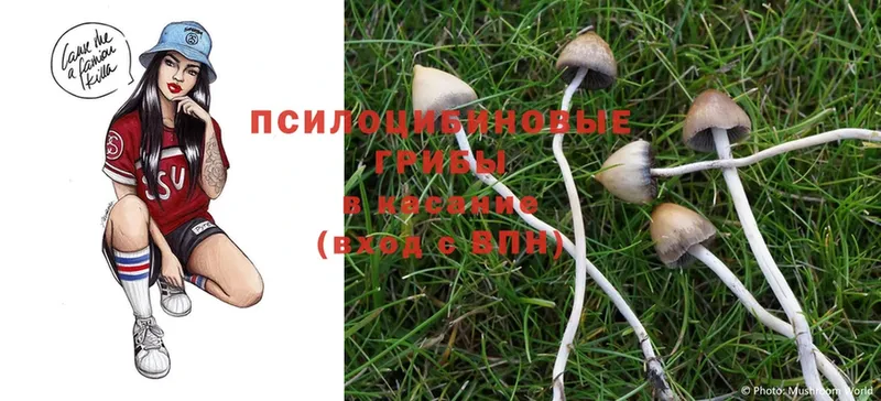 Псилоцибиновые грибы MAGIC MUSHROOMS  Арск 